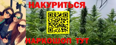 трава Лесосибирск