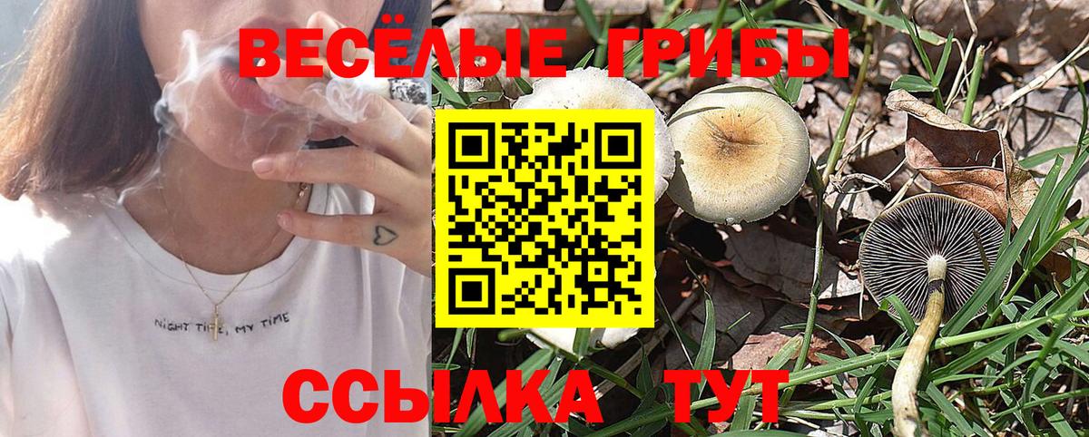 Галлюциногенные грибы Magic Shrooms Вязьма