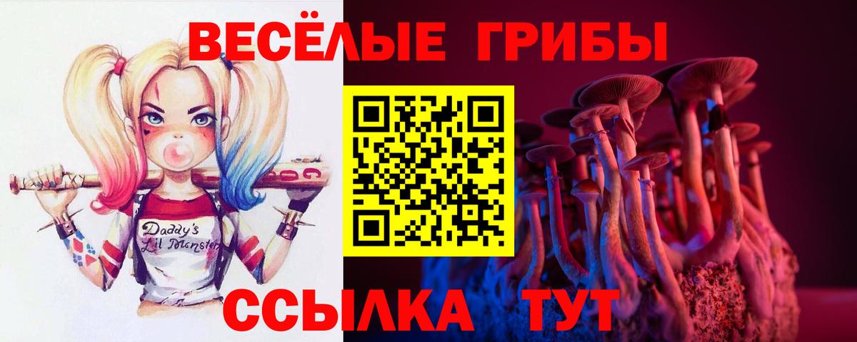 Галлюциногенные грибы ЛСД  Псилоцибиновые грибы мухоморы  наркотики  Вязьма  Вход с VPN 